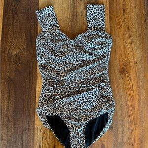 Albion Leopard Print Swimsuit